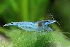 Discount aquatics 10x for sale  Delivered anywhere in UK
