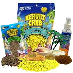 One hermit crab for sale  Delivered anywhere in USA 
