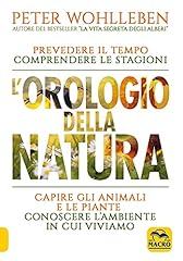 Orologio della natura usato  Spedito ovunque in Italia 