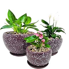 Ceramic plant pots for sale  Delivered anywhere in USA 