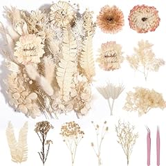 Real dried flowers for sale  Delivered anywhere in USA 