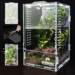 Acrylic jumping spider for sale  Delivered anywhere in USA 