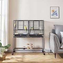 Panana large budgie for sale  Delivered anywhere in UK