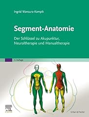 Segment anatomie schlüssel gebraucht kaufen  Wird an jeden Ort in Deutschland