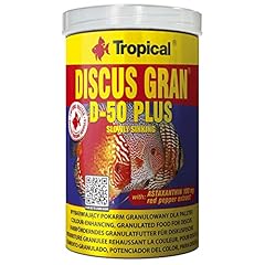 Tropical discus gran usato  Spedito ovunque in Italia 