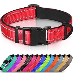 Joytale reflective dog for sale  Delivered anywhere in UK