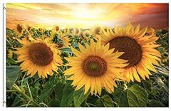 Pickako seasonal sunflowers for sale  Delivered anywhere in USA 