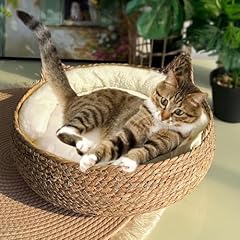 Jatmira natural cat for sale  Delivered anywhere in USA 