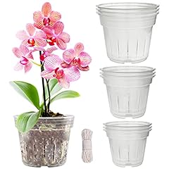 Zddaoole orchid pot for sale  Delivered anywhere in USA 