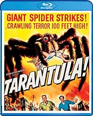 Tarantula for sale  Delivered anywhere in USA 
