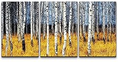 Wall26 aspen trees for sale  Delivered anywhere in USA 