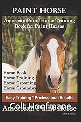 Paint horse american for sale  Delivered anywhere in USA 