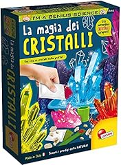 Lisciani giochi 53728 usato  Spedito ovunque in Italia 