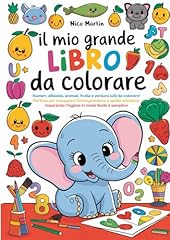 Mio grande libro for sale  Delivered anywhere in UK