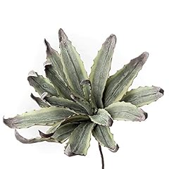 Oca nera 1p124 usato  Spedito ovunque in Italia 