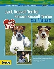 Jack russell terrier usato  Spedito ovunque in Italia 