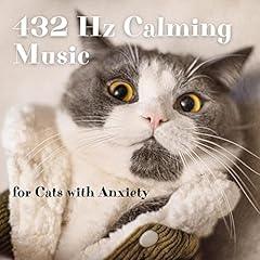 432 calming music usato  Spedito ovunque in Italia 