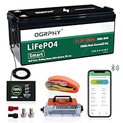 Ogrphy 48v lithium for sale  Delivered anywhere in USA 