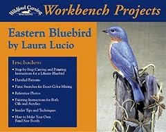 Eastern bluebird for sale  Delivered anywhere in USA 