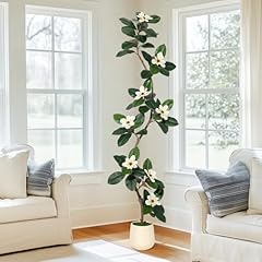 Rubber tree 7ft for sale  Delivered anywhere in USA 