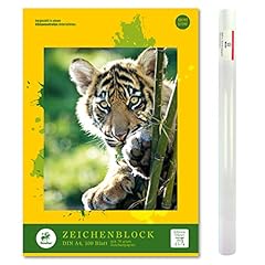Staufen kit artiste d'occasion  Livré partout en France