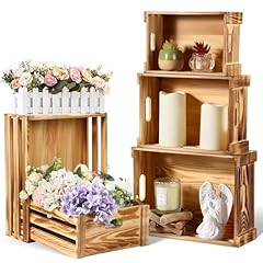 Croblissful pack decorative for sale  Delivered anywhere in USA 