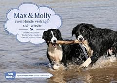 Max molly hunde gebraucht kaufen  Wird an jeden Ort in Deutschland