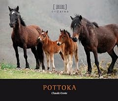 Pottoka d'occasion  Livré partout en France