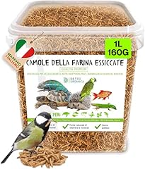 Detox organica camole usato  Spedito ovunque in Italia 