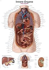 Erler zimmer anatomische gebraucht kaufen  Wird an jeden Ort in Deutschland