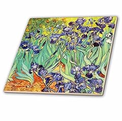 3drose 155630 irises for sale  Delivered anywhere in USA 