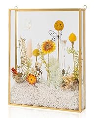 Shadow box frame for sale  Delivered anywhere in USA 