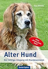 Alter hund richtige gebraucht kaufen  Wird an jeden Ort in Deutschland