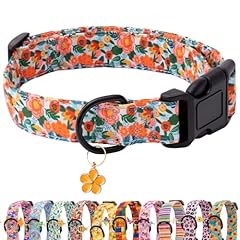 Faygarsle dog collar for sale  Delivered anywhere in USA 