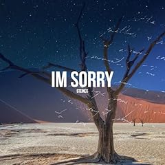 Sorry usato  Spedito ovunque in Italia 