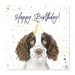 Springer spaniel birthday for sale  Delivered anywhere in Ireland