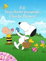 Bracchetto pasquale charlie usato  Spedito ovunque in Italia 