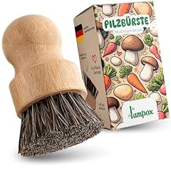 Lampox pilzbürste champignonb gebraucht kaufen  Wird an jeden Ort in Deutschland