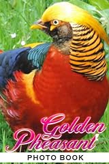 Golden pheasant photo for sale  Delivered anywhere in UK