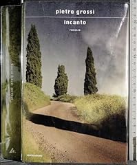 Incanto usato  Spedito ovunque in Italia 