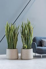 Finestgreen patt pflanzgefäß gebraucht kaufen  Wird an jeden Ort in Deutschland