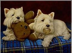 Teddy boys nigel for sale  Delivered anywhere in UK