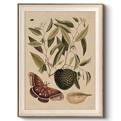 Viyyiea framed wall for sale  Delivered anywhere in USA 