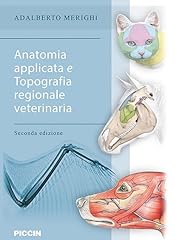 Anatomia applicata topografia usato  Spedito ovunque in Italia 