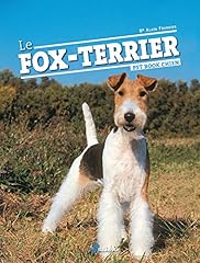 Fox terrier d'occasion  Livré partout en France