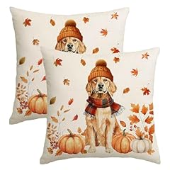 Nuteen fall pillow for sale  Delivered anywhere in USA 