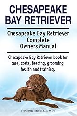 Chesapeake bay retriever. for sale  Delivered anywhere in UK