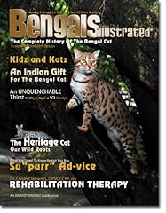 Bengals illustrated bengal for sale  Delivered anywhere in USA 
