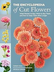 Encyclopedia cut flowers for sale  Delivered anywhere in USA 