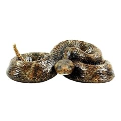 Western diamondback rattlesnak for sale  Delivered anywhere in USA 